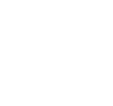 social-media icon